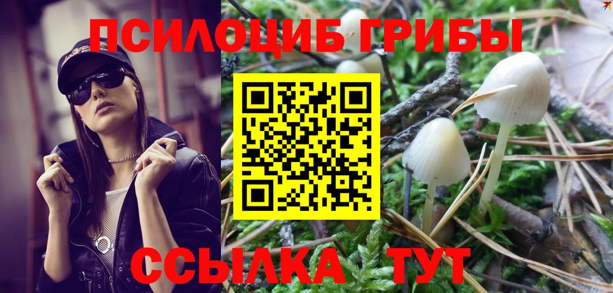 Псилоцибиновые грибы MAGIC MUSHROOMS  Псилоцибиновые грибы Magic Shrooms  Холмск  Вход с VPN 